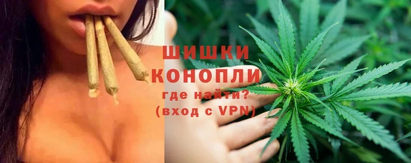 2c-b Гатчина