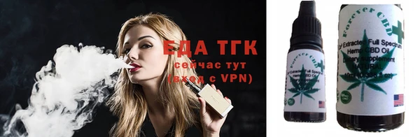 гашик Арсеньев