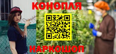 стаф Будённовск
