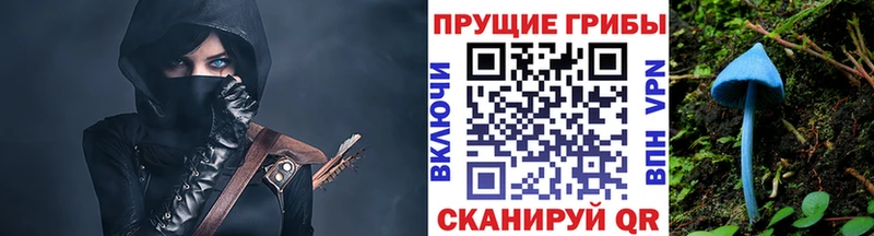 мега как войти  Старая Русса  Галлюциногенные грибы прущие грибы  купить наркоту 