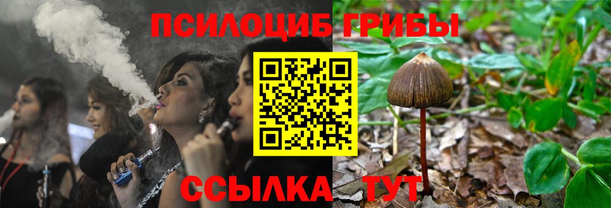 Галлюциногенные грибы Psilocybe  Старая Русса  Галлюциногенные грибы ЛСД 
